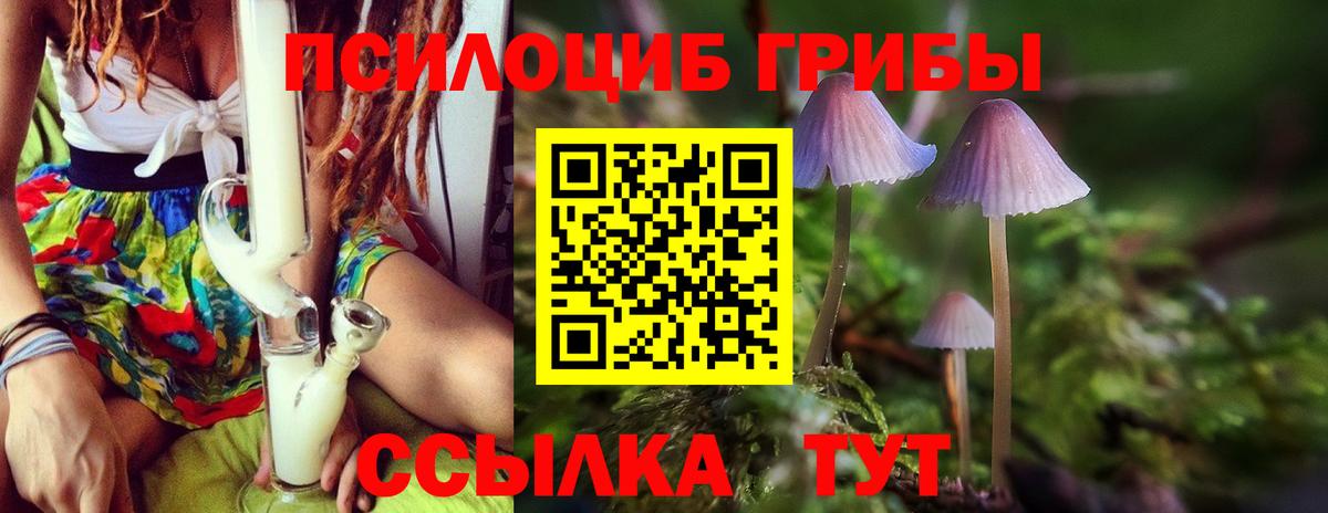Галлюциногенные грибы Psilocybine cubensis  Вход с VPN  Истра 